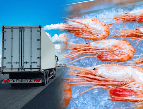 Cold Storage Shipping